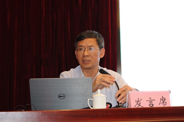 魏后凯-发言.JPG