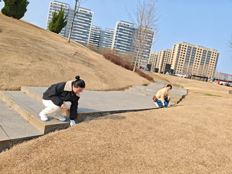 1764297835559111.png fileUpload.png